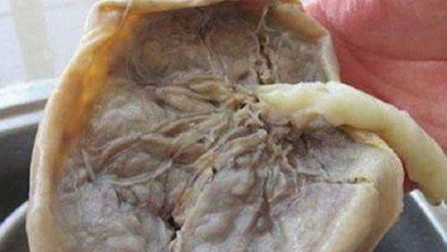 吃别人胎盘对家庭风水有影响吗？