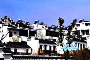 三、 典型案例分析