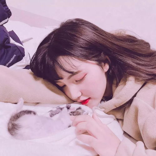 土属性：稳重、 踏实与包容的体现