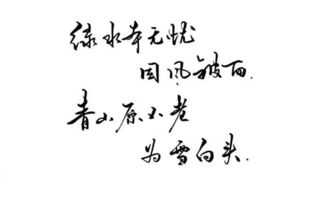 一、 朋友圈清醒句式的心理学与语言学特征