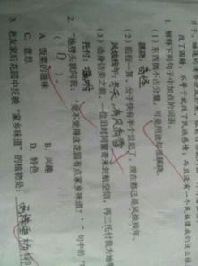 风烛残年属什么生肖？风打一生肖是什么生肖的意思？