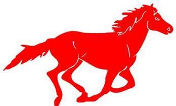 属马人的幸运号，哪个数字能让你一生旺旺旺？