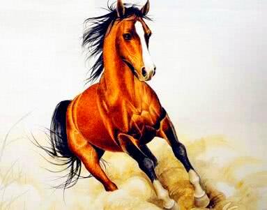 英姿飒爽和大地之子分别对应哪个生肖？