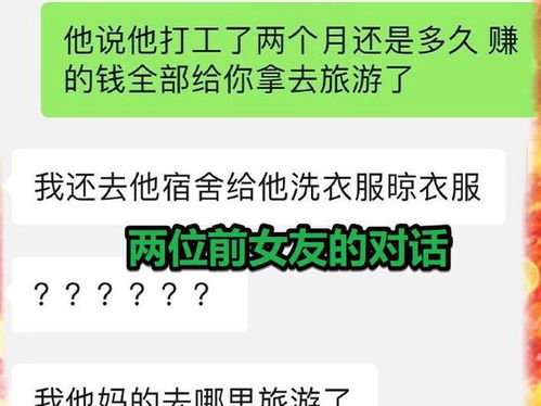 生肖牛：稳重担当的基石力量