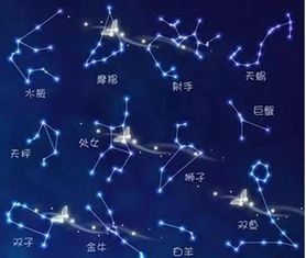 三、  星座图景与性格特征的深度解构
