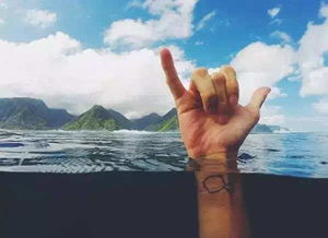 回程的航班提前了