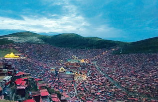 血泪教训：那些你不知道的细节