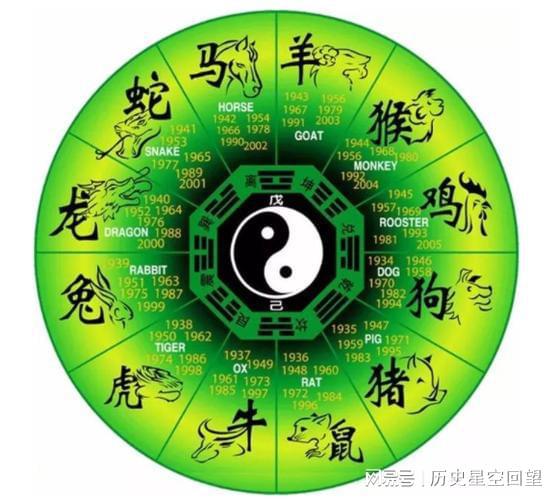 智慧布局的具体表现