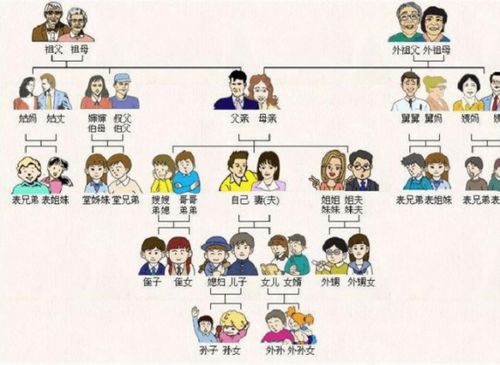 双家庭命格对婚姻有何具体影响和解析？