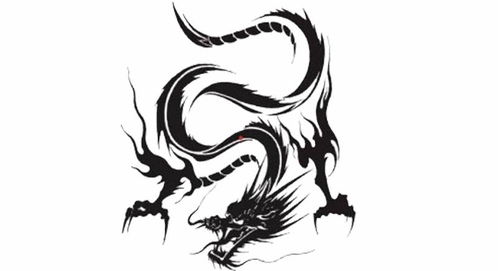 2026年属马金牛座农历十一月运势详解书具体内容有哪些？