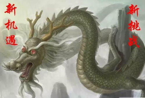 属龙人2026年8月感情运势和爱情运具体表现是什么？