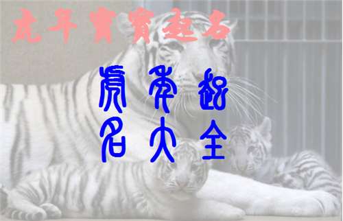 一些“灵感”来了！（有可能不太靠谱）