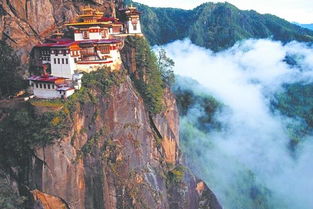 悬崖峭壁的生肖是哪个？