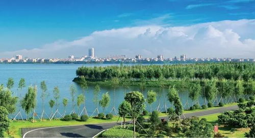 2026年游玩黄历大公开