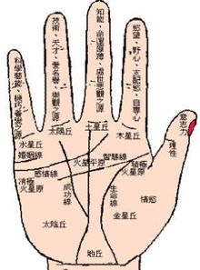 财运线的解析