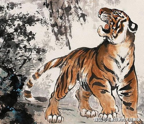 这个生肖既代表无忧无虑，又象征深不可测的动物，究竟是指哪一种生肖呢？