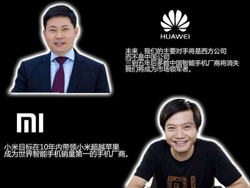 雷军说了算？还是我说了算？