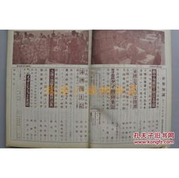 三、  核心意象解析与历史人物的原型投射