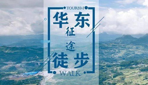 三、 追梦道路上的荆棘与风雨：从心理状态韧性到行为策略