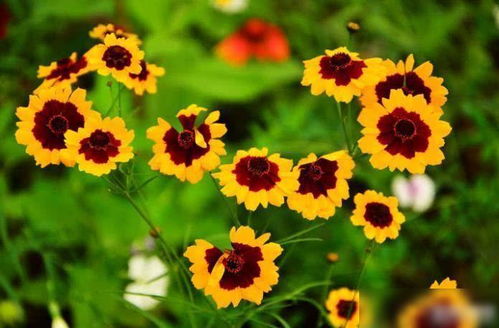 相互尊重和信任是婚姻的基石