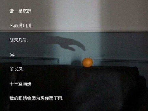 1) 温柔外壳下的钢铁内核