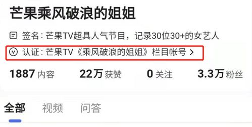 ：数字身份构建与简约冷酷美学的兴起