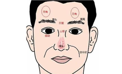 1.3 眼部光泽与社交资本关系