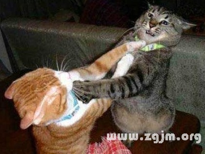 梦见自己打架赢了的寓意是什么？