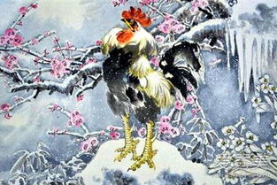 性格互补：相辅相成的人生轨迹