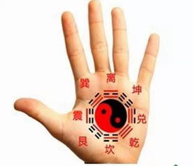 如何下载手相算命大师，学习看手相算命技巧？