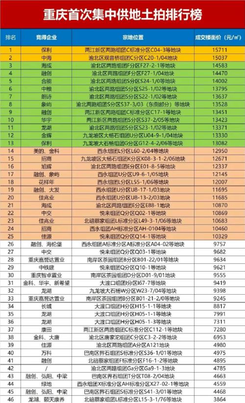 夏日蜂群的忙碌与有序