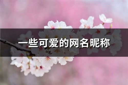 四、 细节与故事：情感深度与共鸣空间的构建
