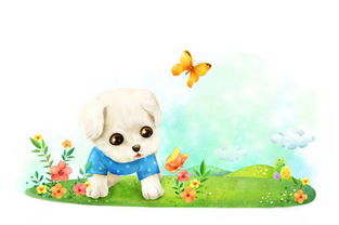 嗷呜！土狗宝宝取名大作战