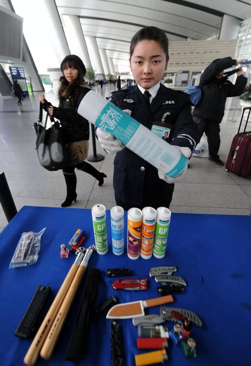 探究背景与总体概述