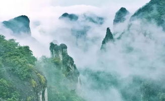 仙命水命与坐山成三合，最适合什么坐山？