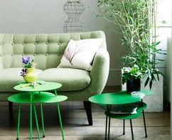 2.1 推荐植株及其吉祥寓意