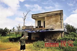 研究背景与目的