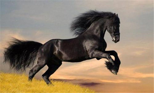 2026年属马9月装大门选择哪个黄道吉日最吉利？