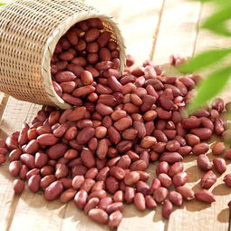 单身狗的花生米噩梦