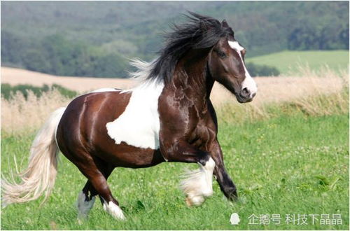 2026年属马的人动土吉日是哪一天？