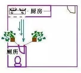 2. 氨气对人体健康之潜在危害概述