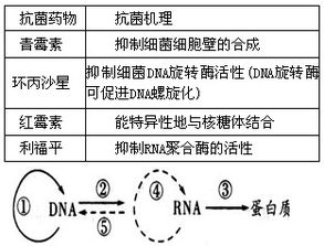 效果判定标准：从梦境到行为转变