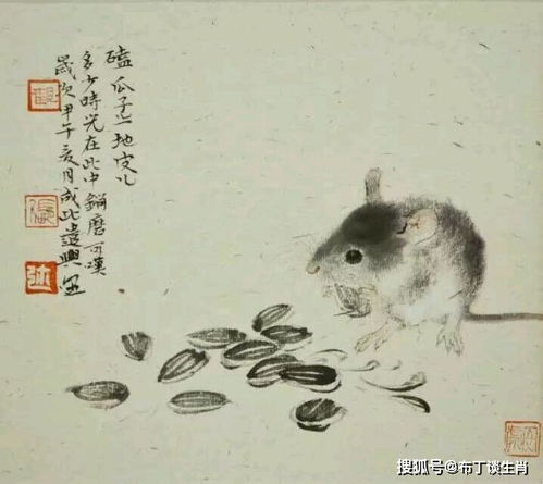 哪个生肖性格平和，哪个生肖信心十足？