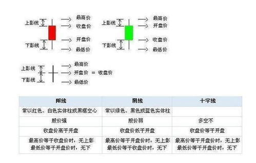 四、 十神关系中的功能定位与互动机制