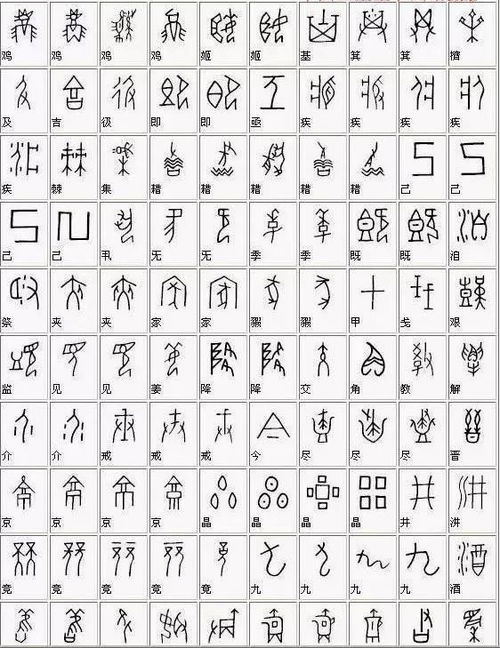 （一）甲骨文—象形意指的初步定型