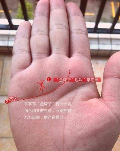 修长柔软手指与敏锐洞察力