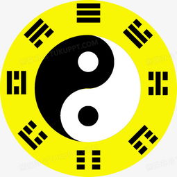 三、 八卦图解析及象能解读