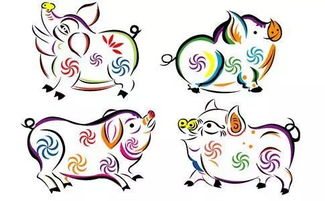 猪猪の爱情玄学