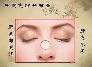 1. 山根光亮度与内脏健康的对应关系