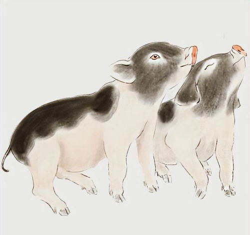 小小的生肖是何动物？高大的动物对应哪个生肖？